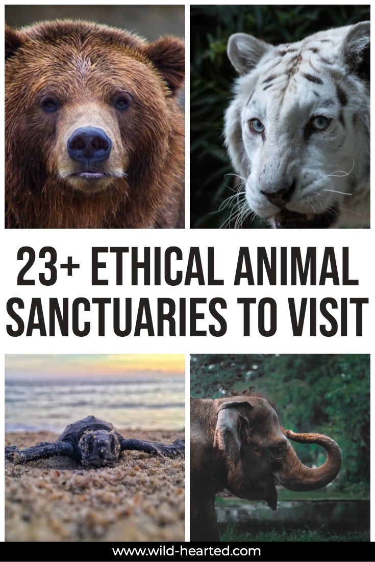 best animal sanctuaries