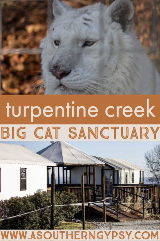 TURPENTINE CREEK WILDLIFE REFUGE