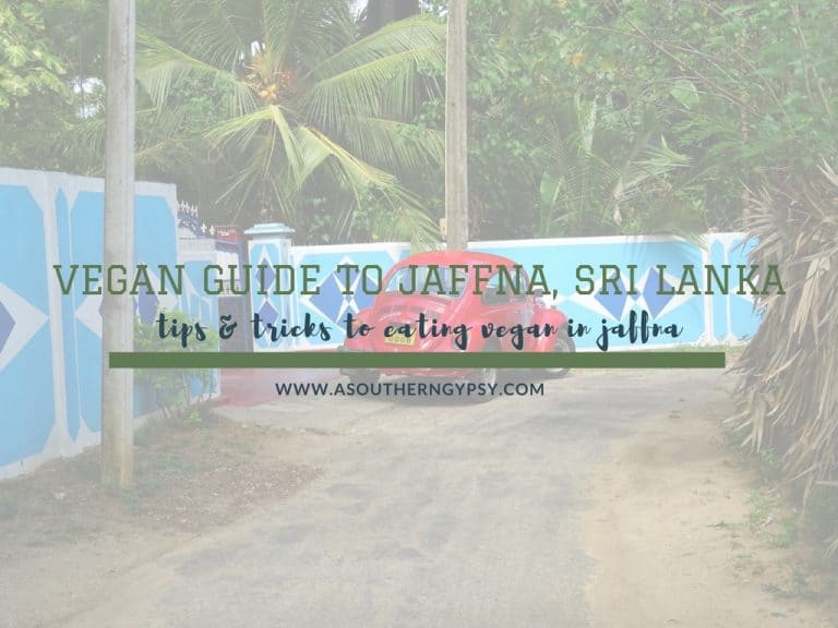 Read more about the article Vegan Guide to Jaffna, Sri Lanka