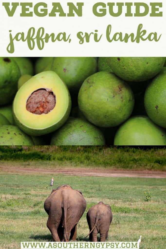 vegan food in jaffna