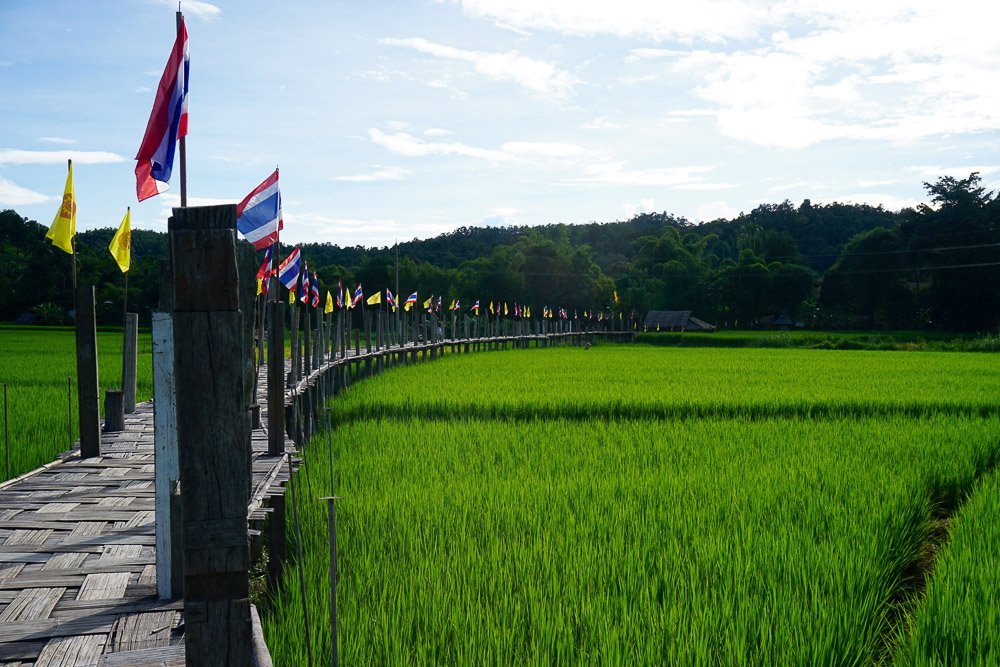 thai travel beat