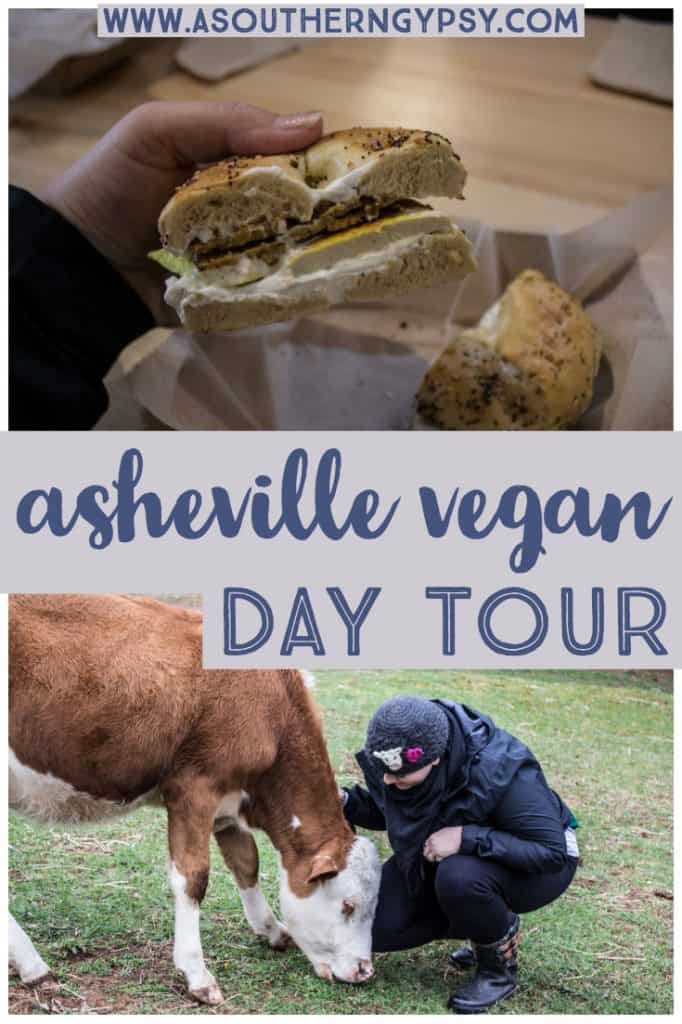 asheville vegan day tour