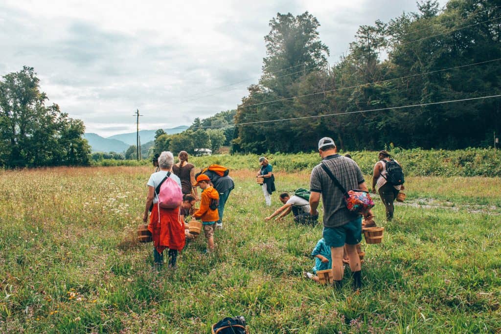 foraging course