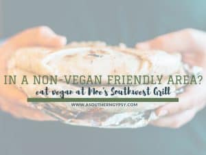 Read more about the article In a Non Vegan-Friendly Area? Try Vegan at Moe’s Southwest Grill