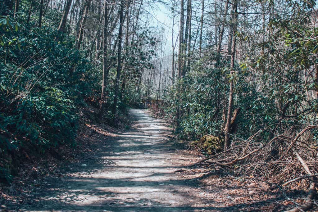 best hikes in asheville