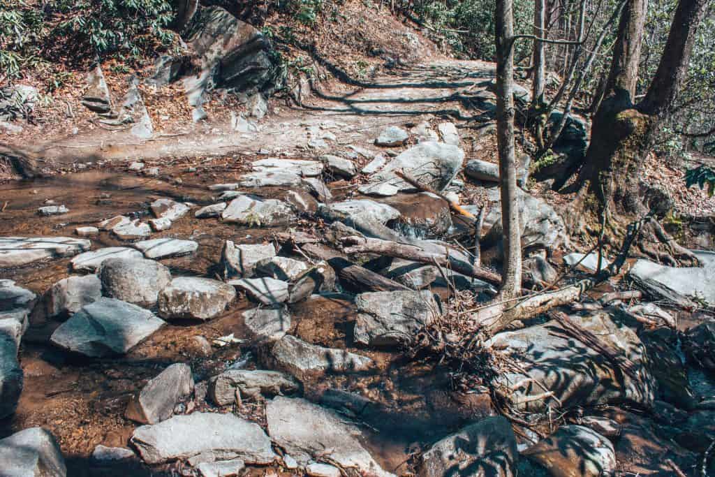 best hikes in asheville