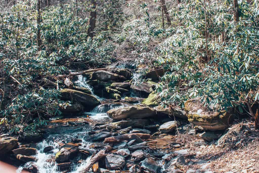 best hikes in asheville