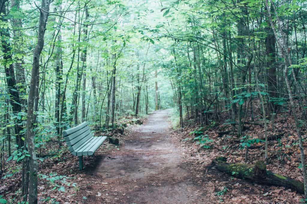 best hikes in asheville