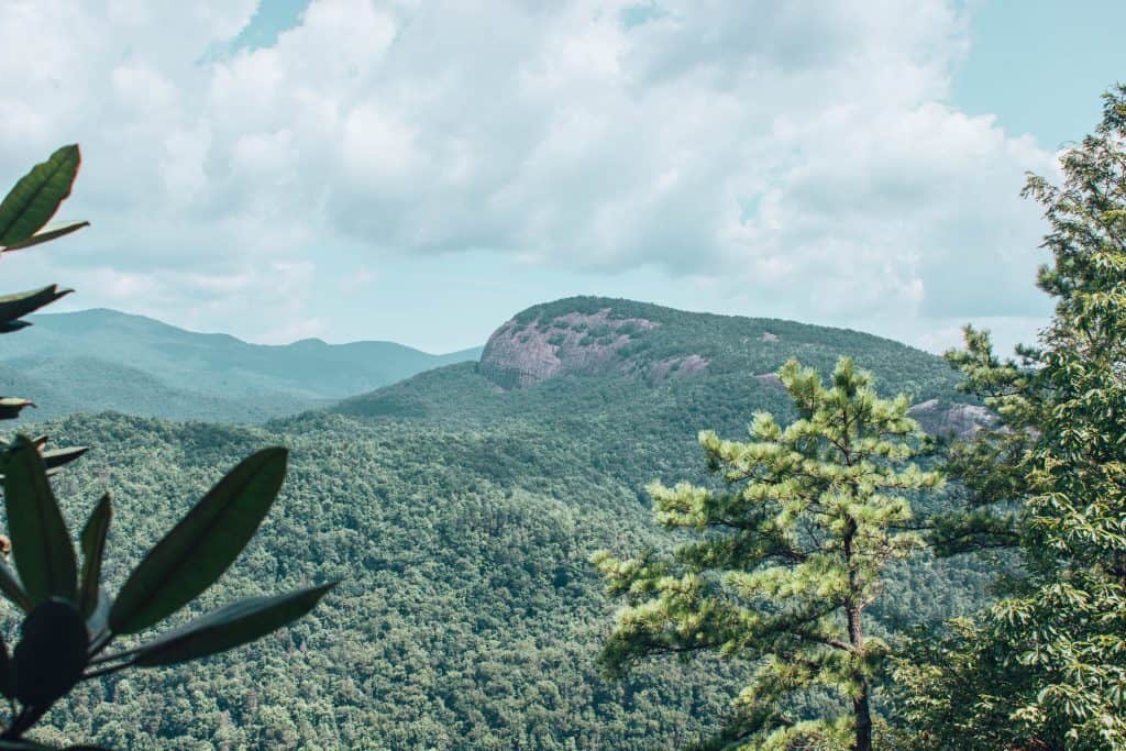 best hikes in asheville