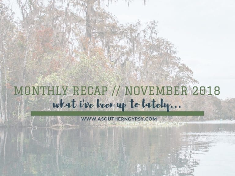 Read more about the article Monthly Recap // November 2018