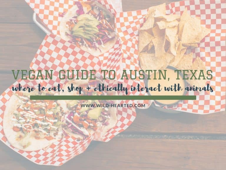 Read more about the article Vegan Guide to Austin, Texas