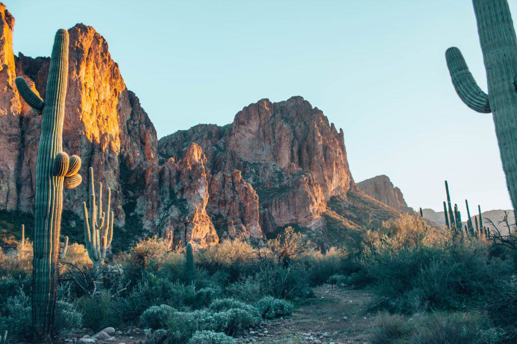 things to do in mesa arizona