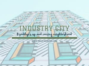 Read more about the article Industry City | Brooklyn’s Up and Coming Neighborhood