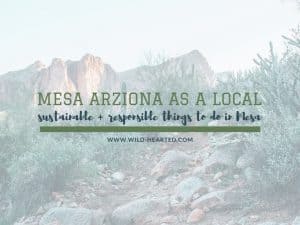 Read more about the article Experience Mesa Arizona Like a Local