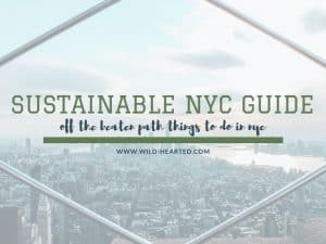 Read more about the article A Sustainable Travel Guide to New York City