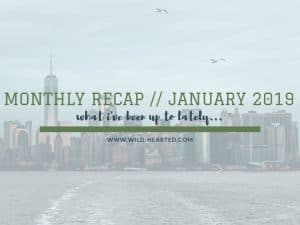 Read more about the article Monthly Recap // January 2019