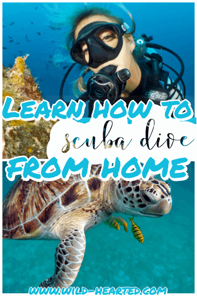 scuba lessons