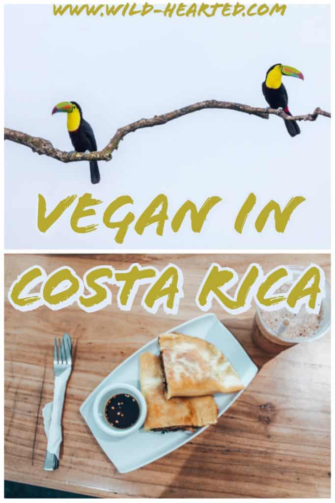 vegan in costa rica