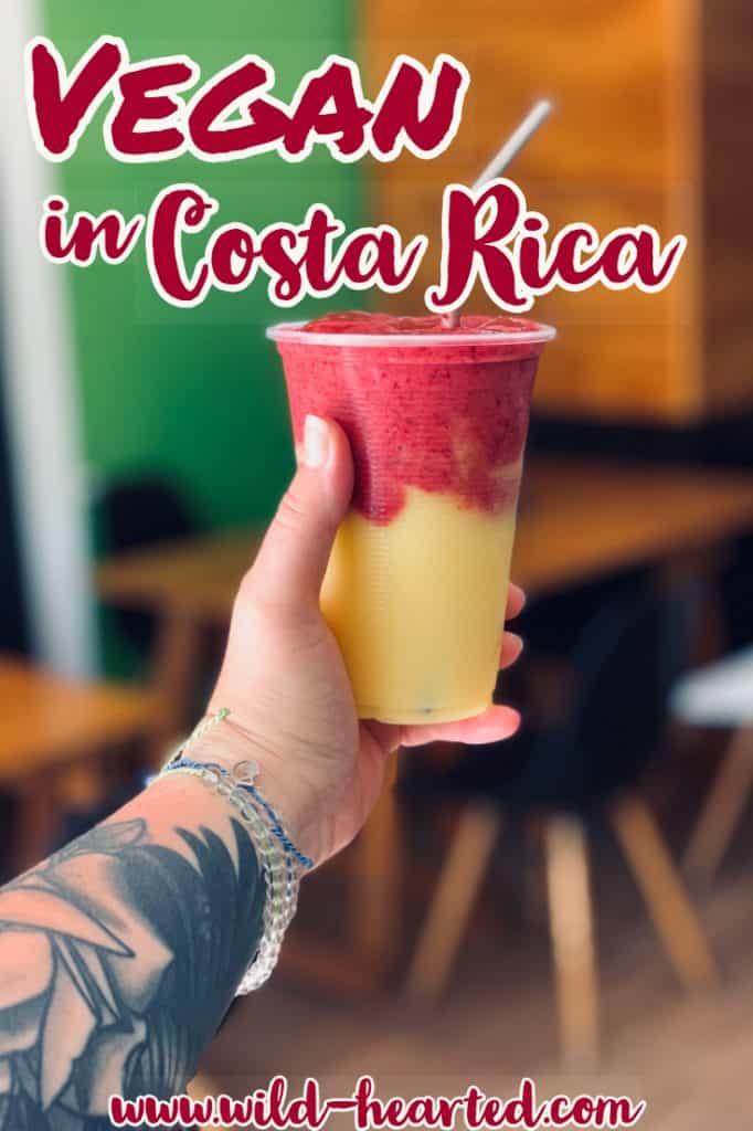 vegan in costa rica