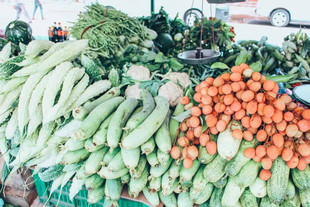 vegan in nepal