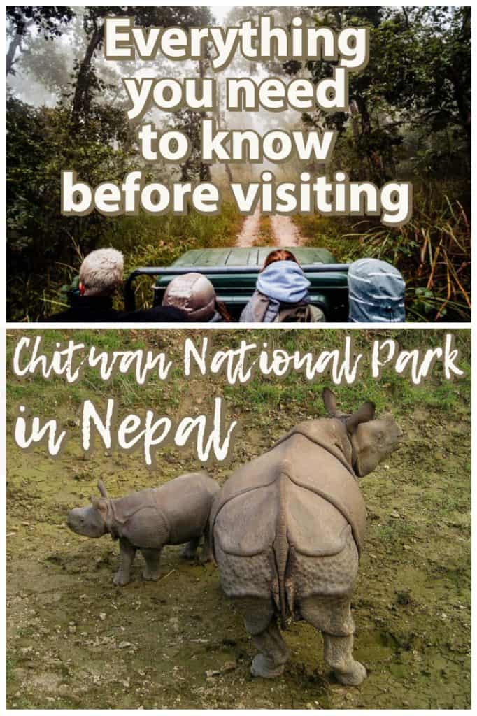 chitwan jungle safari