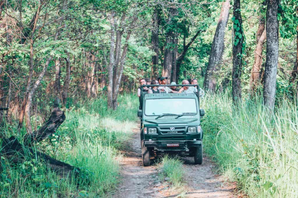 chitwan jungle safari