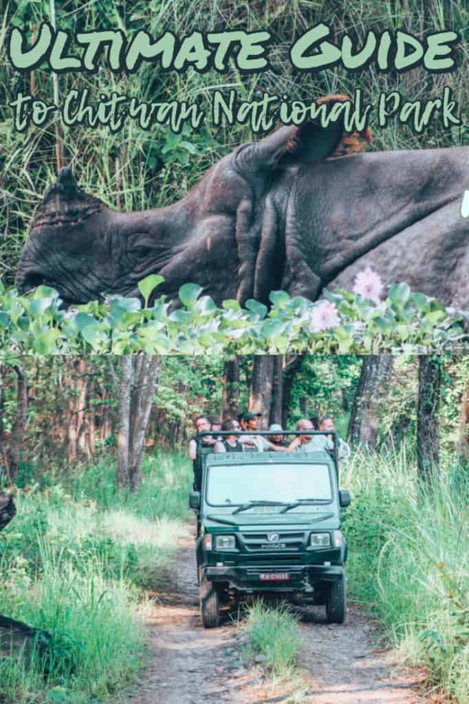 chitwan jungle safari