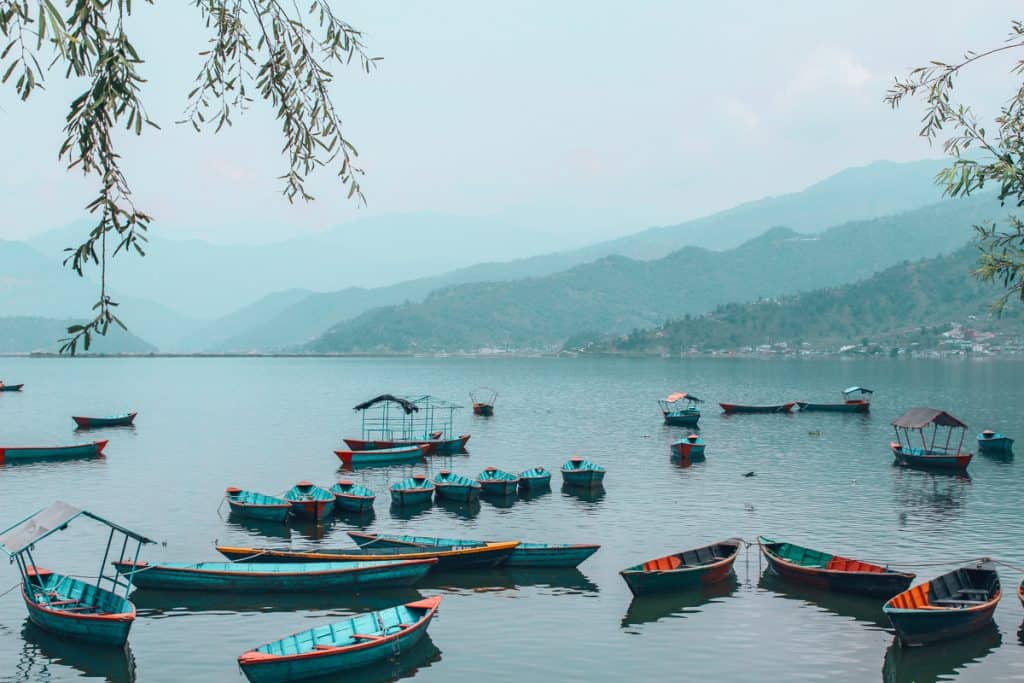 vegan in nepal