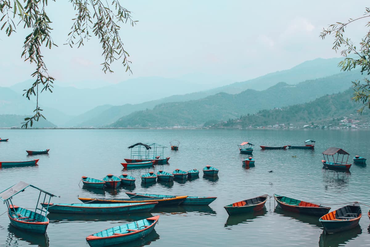 vegan in nepal