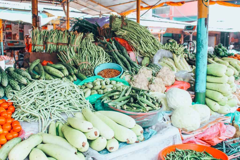 vegan in nepal