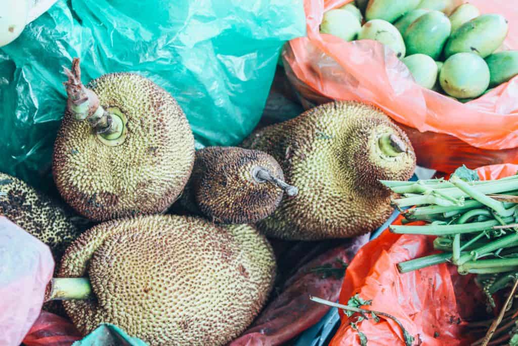 vegan in nepal