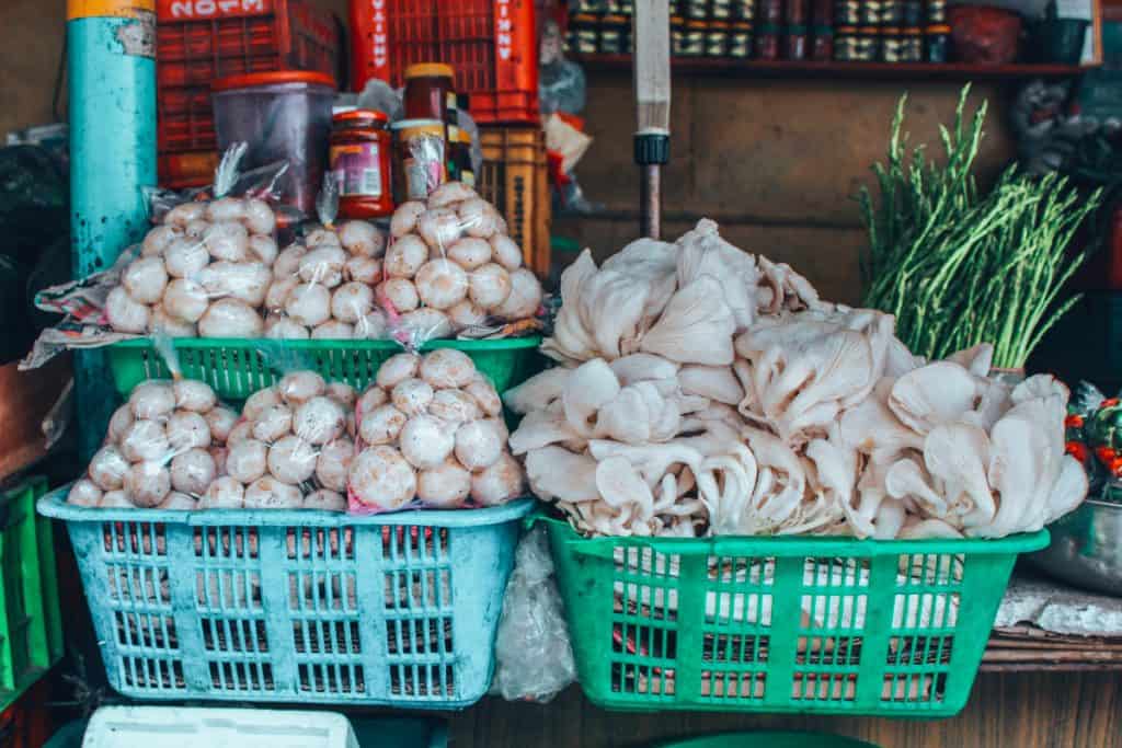 vegan in nepal