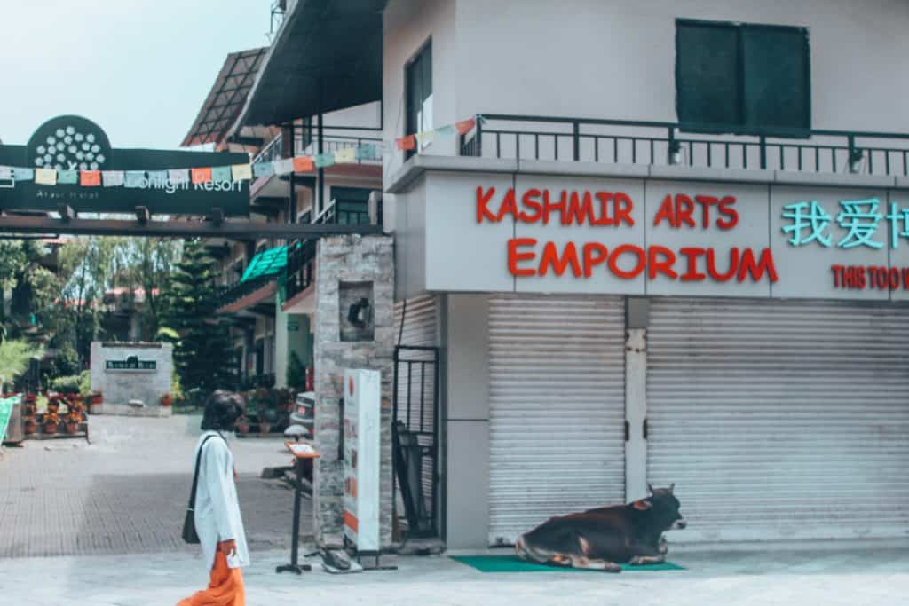 vegan in nepal