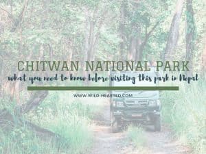 Read more about the article A Guide to Visiting Chitwan National Park in Nepal