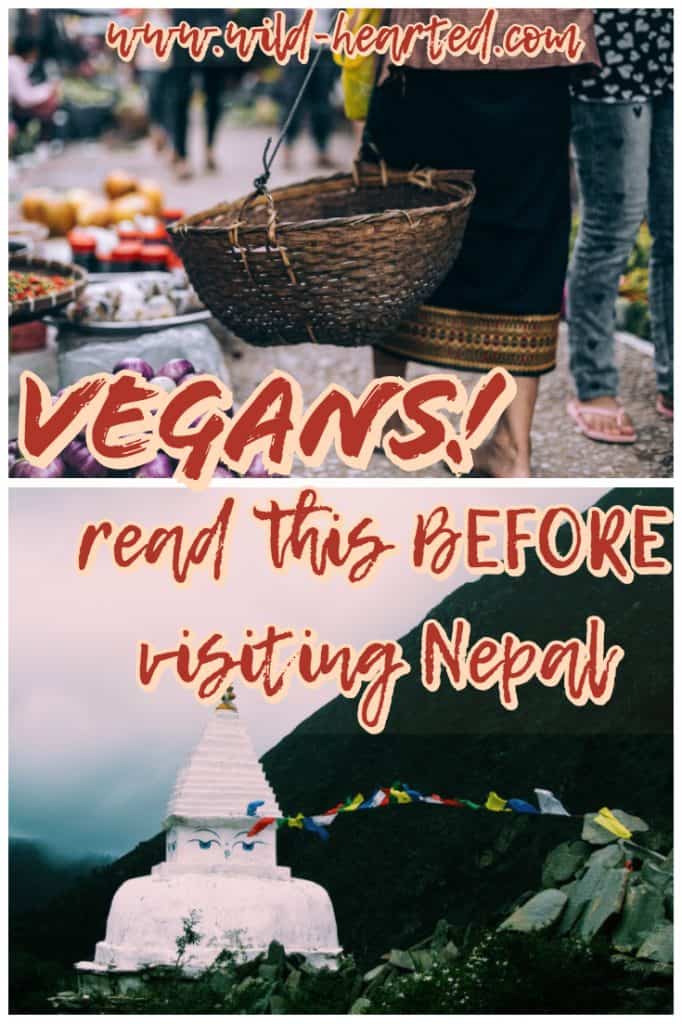 vegan in nepal