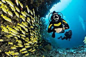 Read more about the article 10 Badass Female Scuba Divers to Follow for Inspiration
