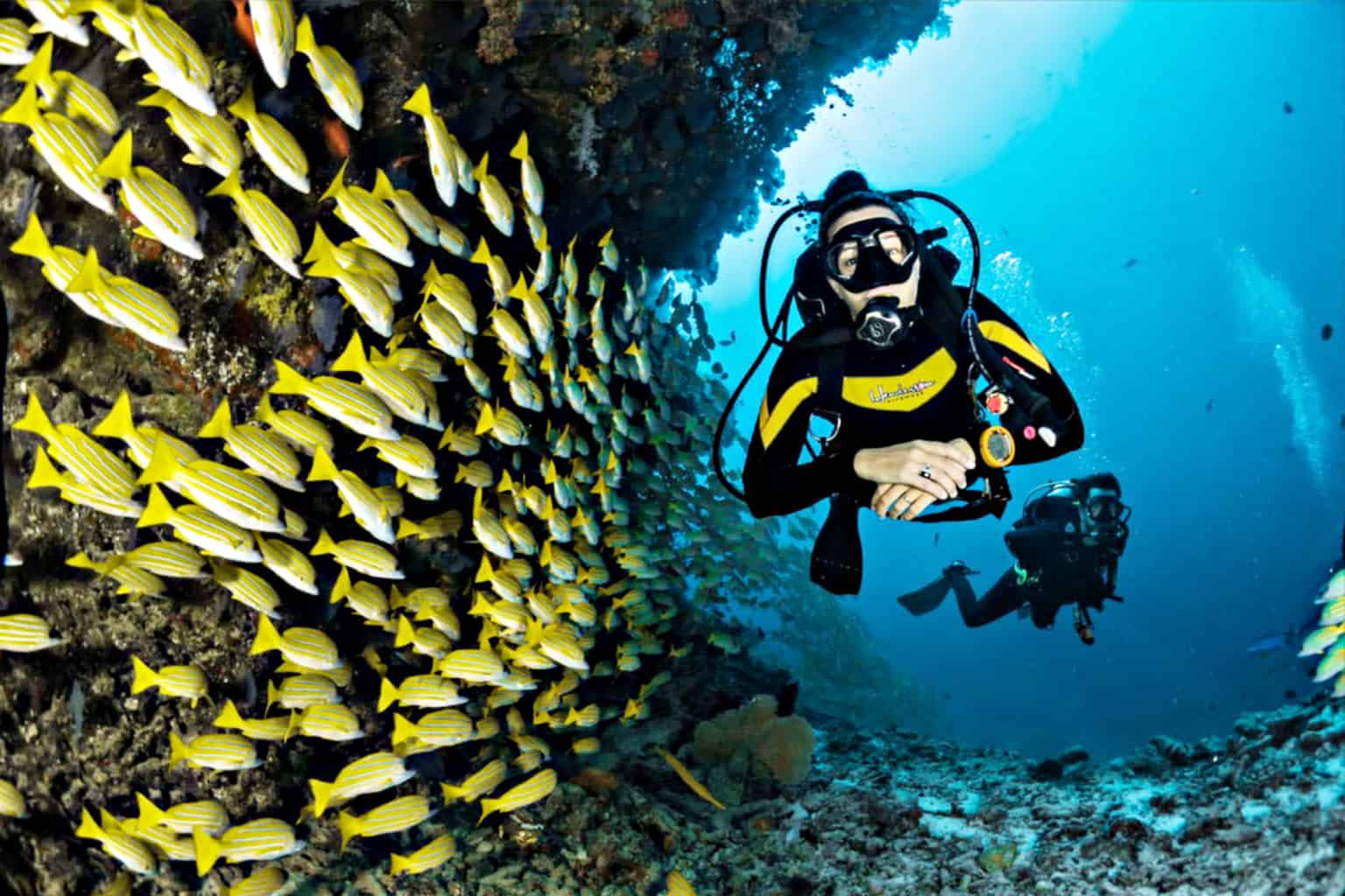 Diving Tips – What You Must Find Out About Diving