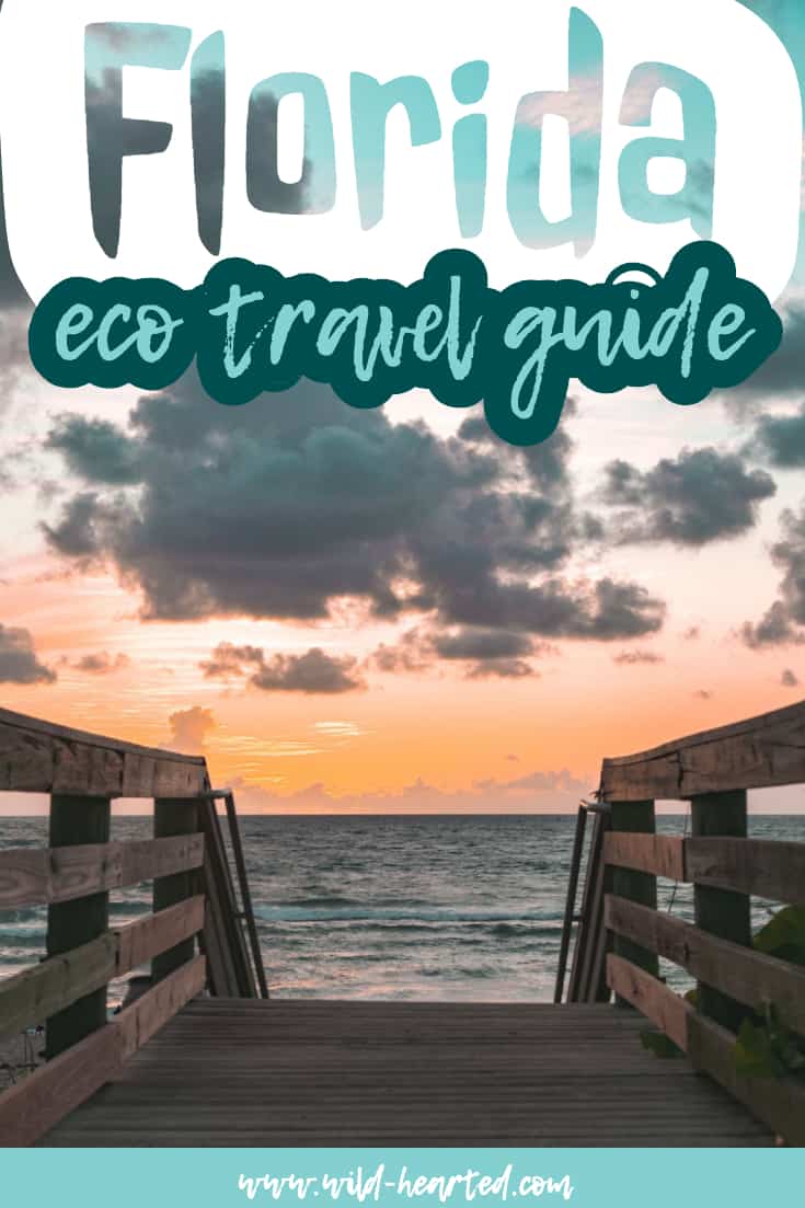 ecotourism in florida