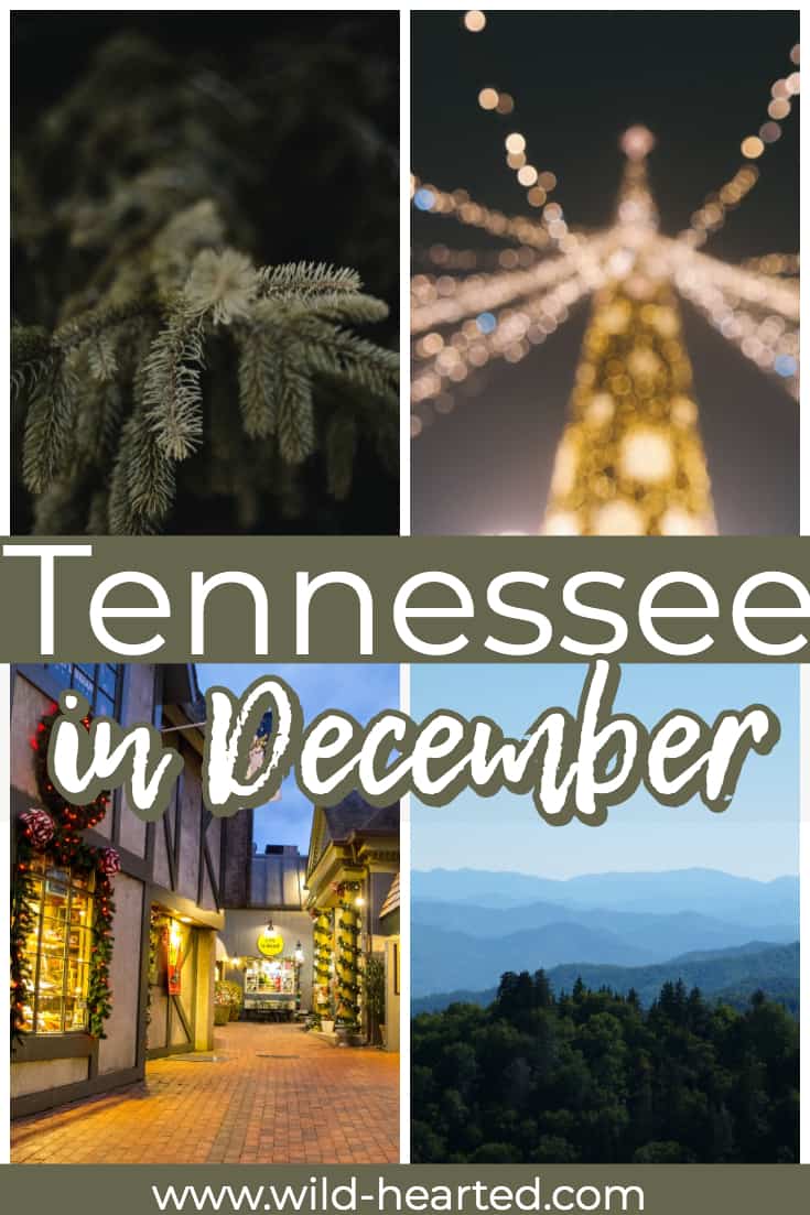 things to do in tennessee in december