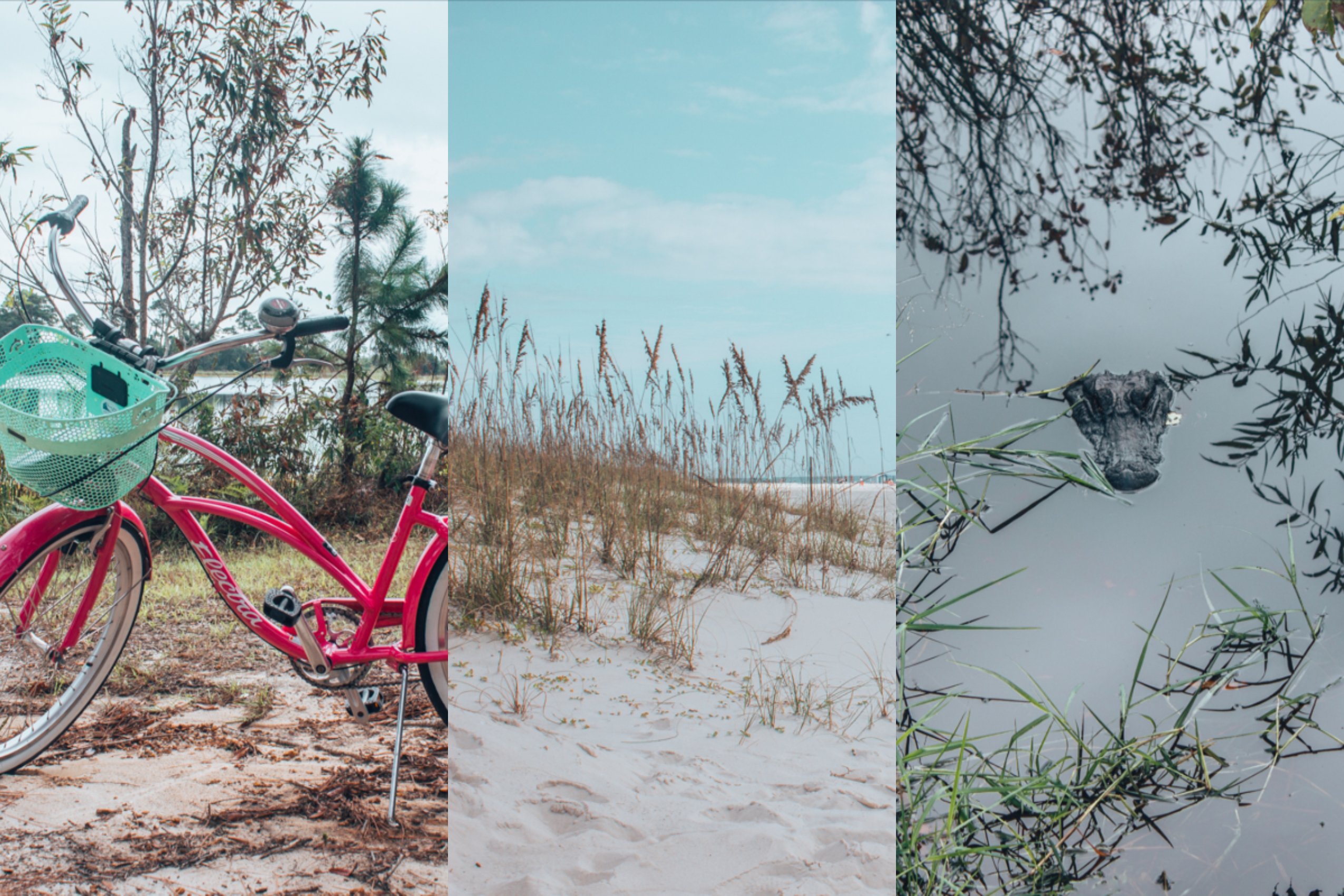 Things to Do in Orange Beach Alabama (& Gulf Shores!)