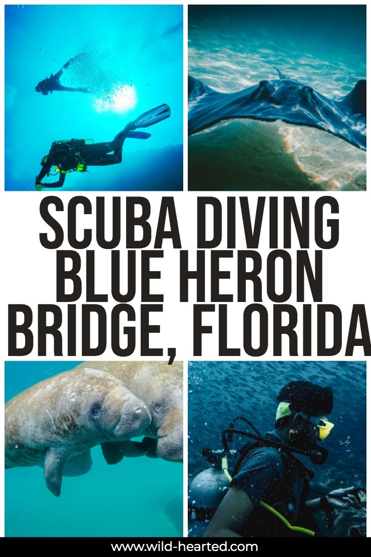 blue heron bridge scuba