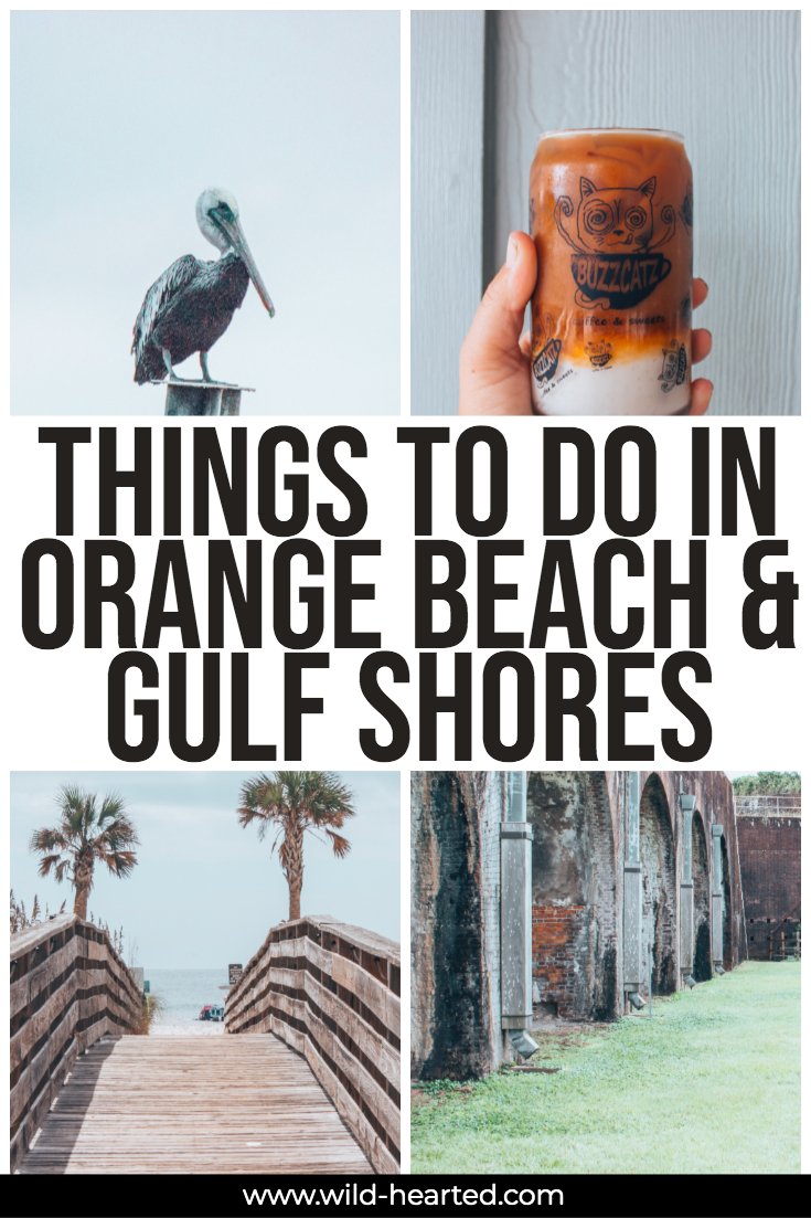 things to do in orange beach alabama