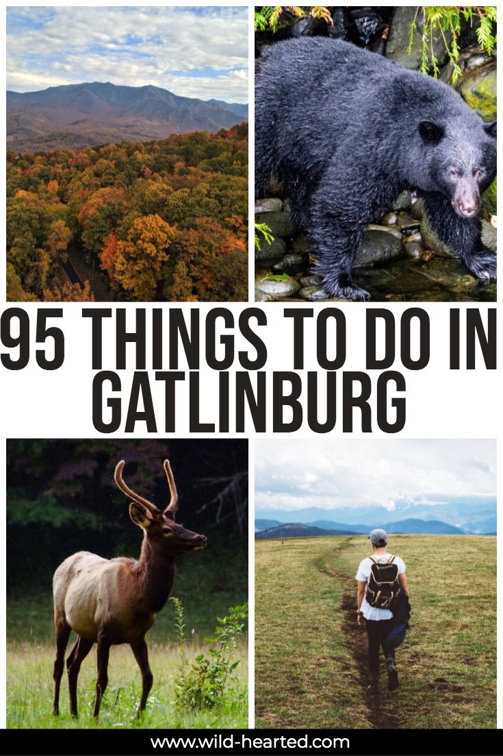 things to do in gatlinburg