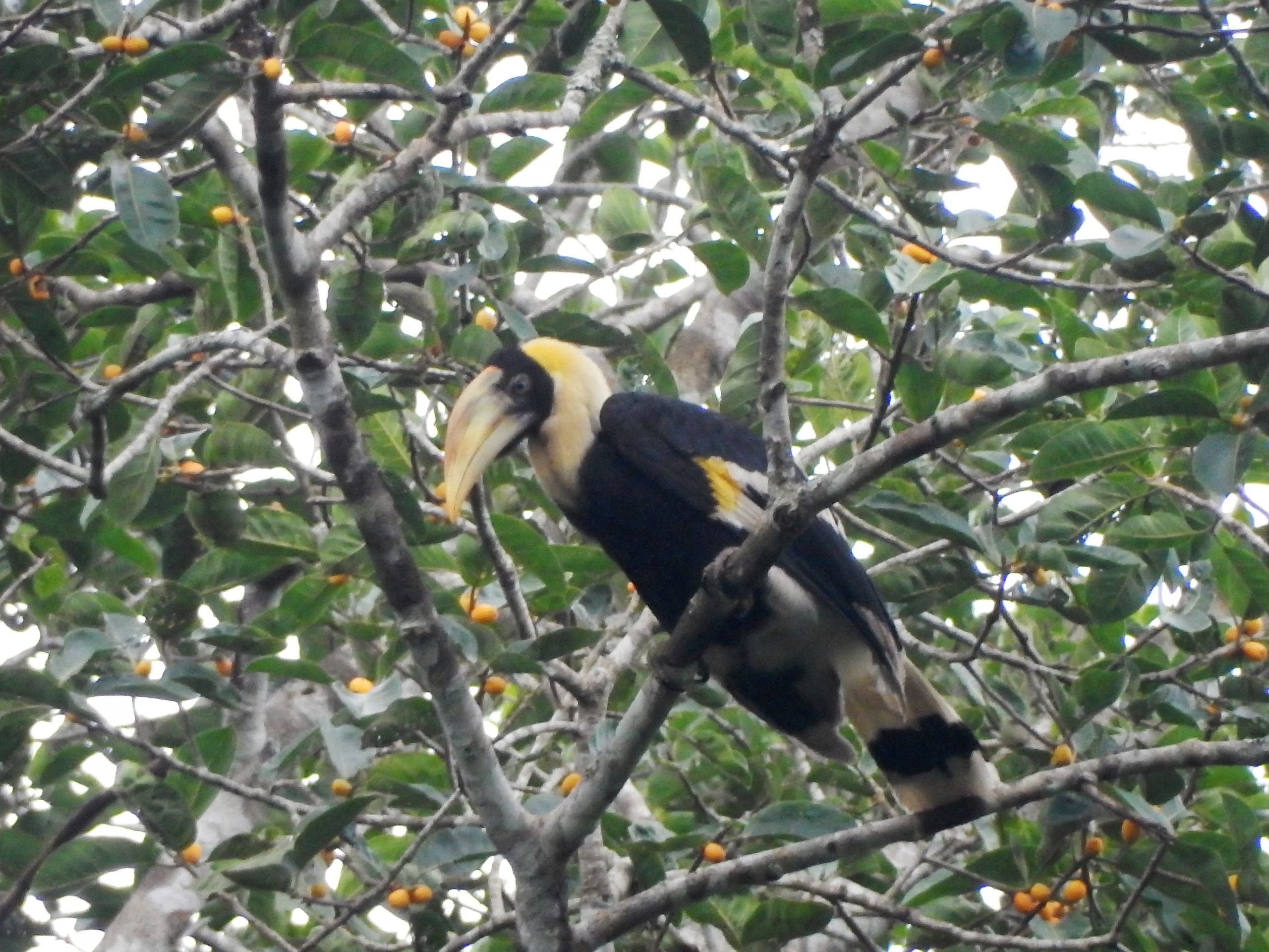 thailand off the beaten track