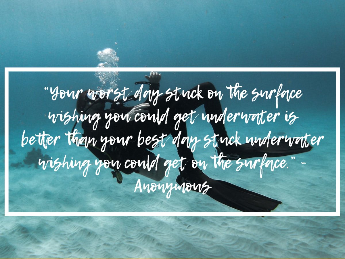 scuba diving quotes