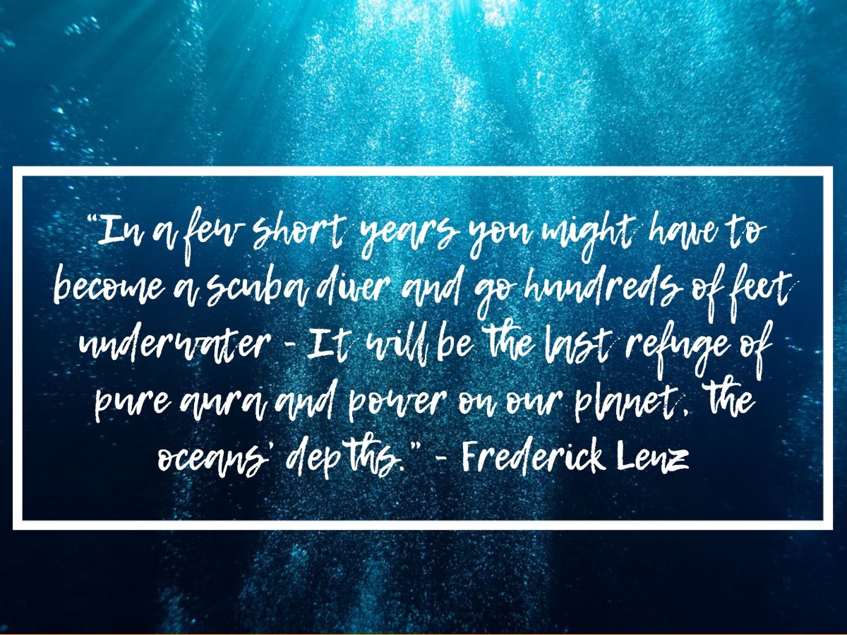 scuba diving quotes