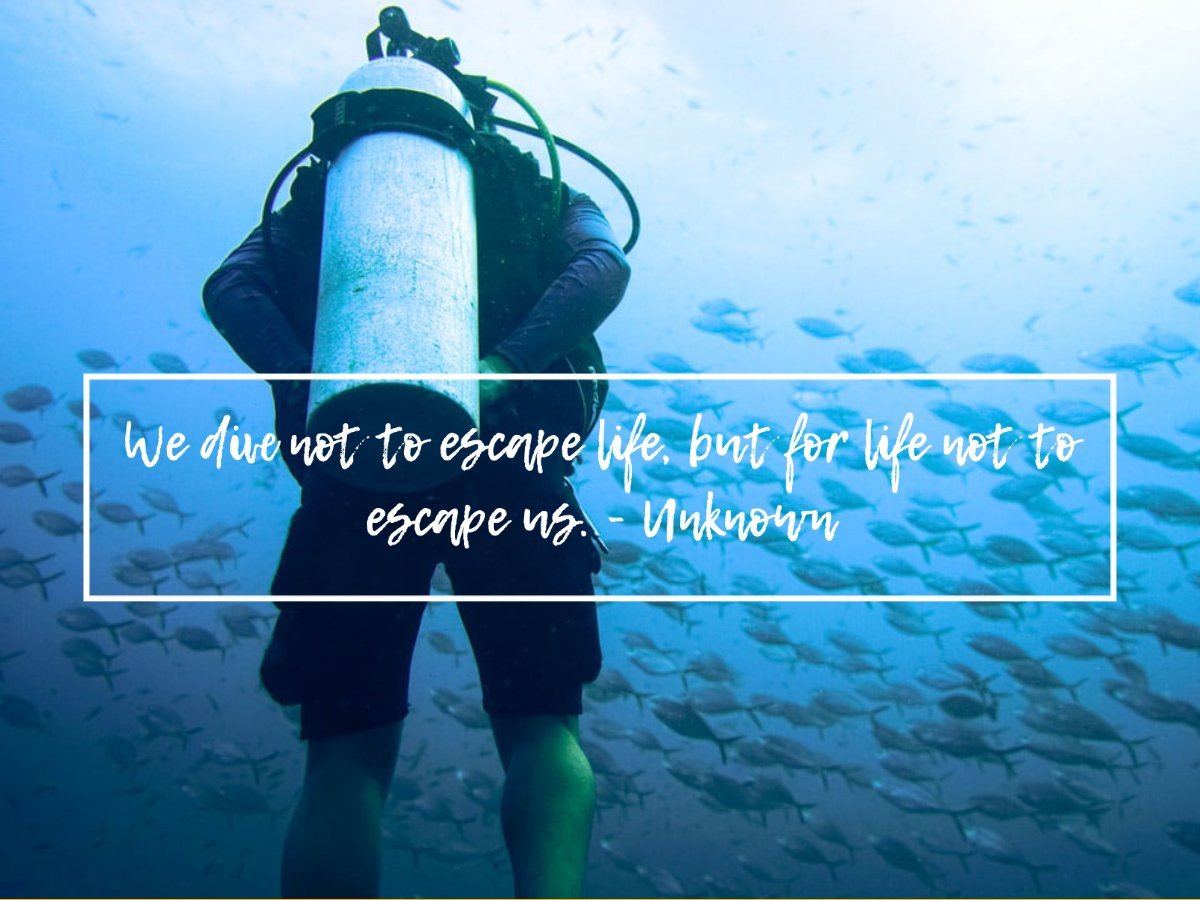 scuba diving quotes