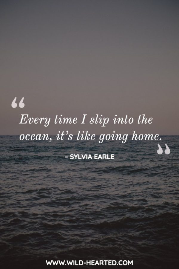 90+ Scuba Diving Quotes That Put Your Love of the Ocean into Words