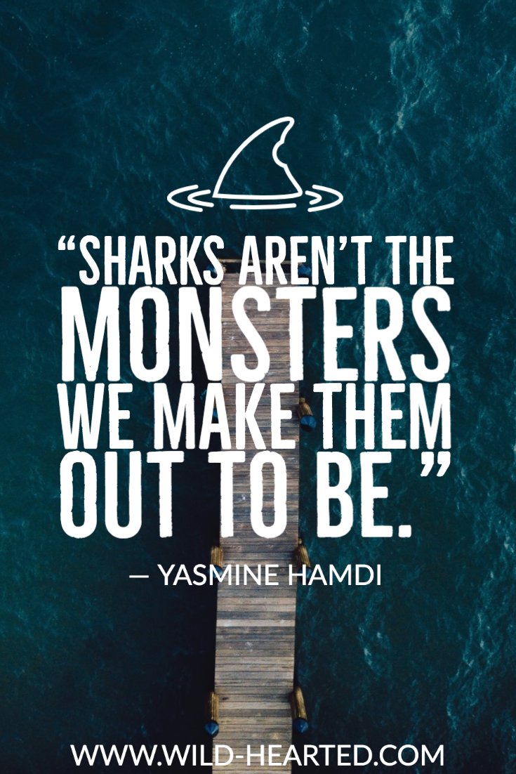 quotes about sharks