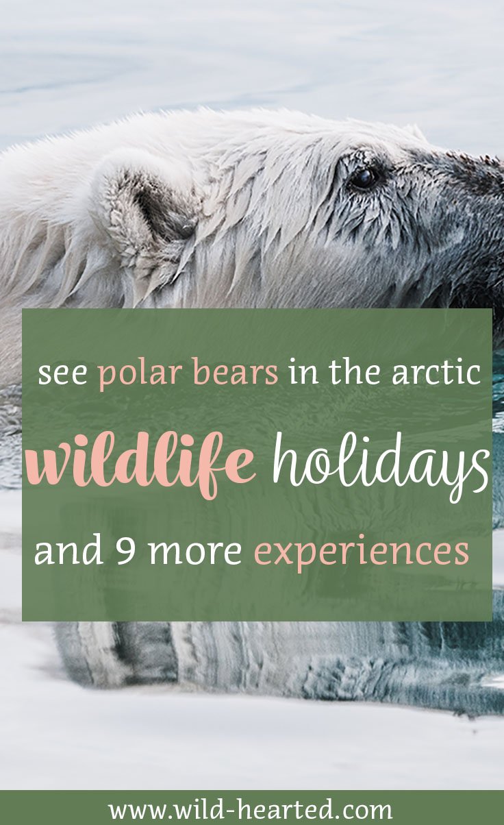 wildlife holidays